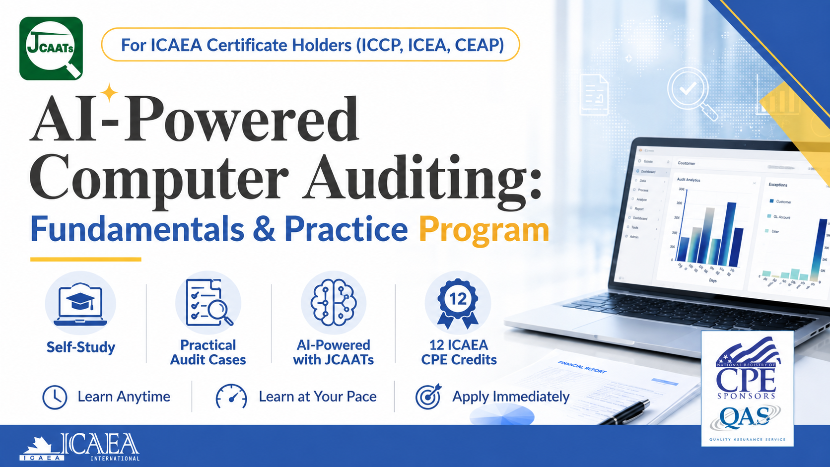 AI-Powered Computer Auditing: Fundamentals & Practice